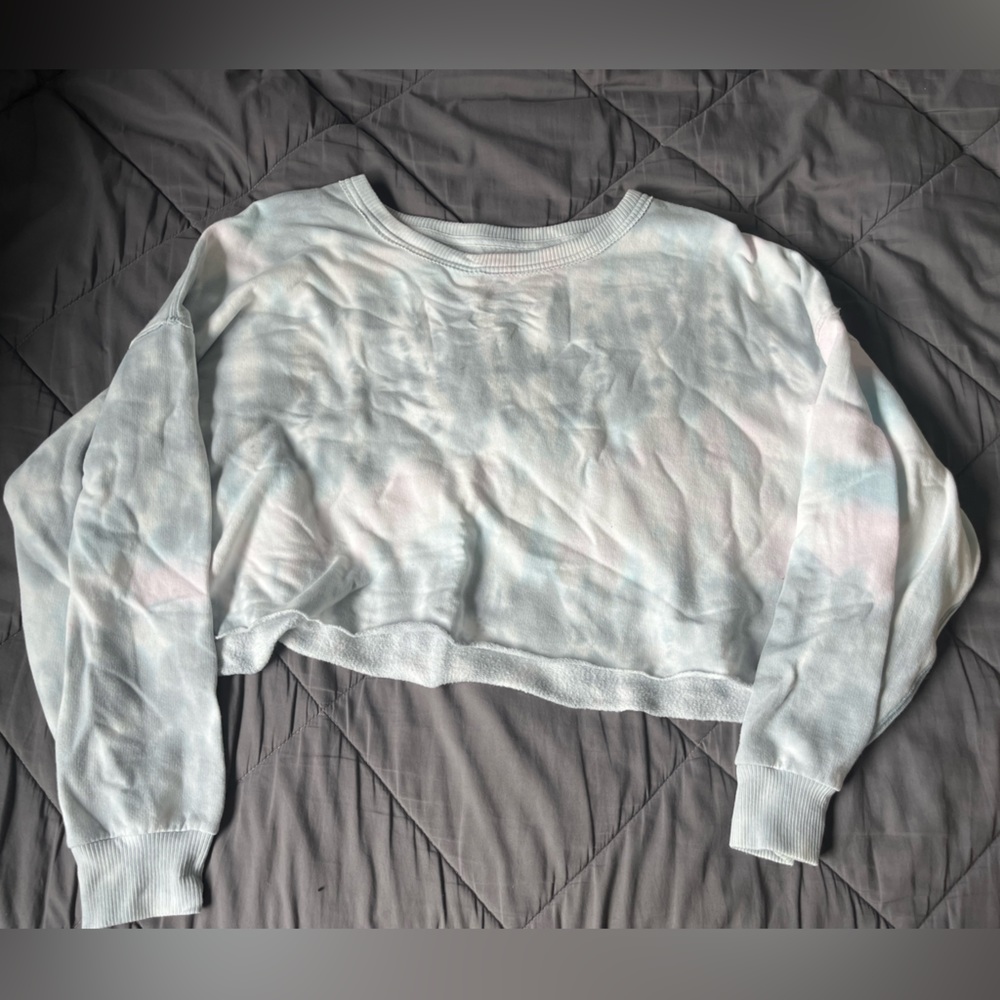 American Eagle Cropped Crewneck Sweatshirt